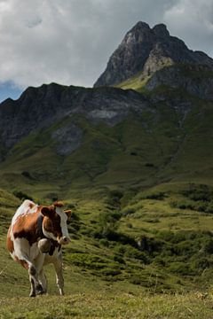 vache avec une montagne en arrière-plan sur Marloes Hoekema