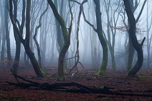 Arbres dansants