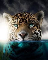 Un léopard dans l'eau