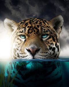 Ein Leopard im Wasser von Bert Hooijer
