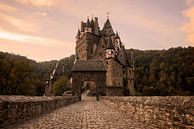 Met kasseien geplaveide straat naar Burg Eltz kasteel in het ochtendlicht van iPics Photography thumbnail