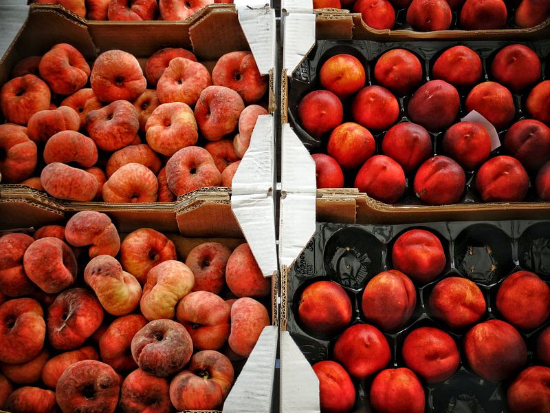 Wild fruit by Boris Stolte