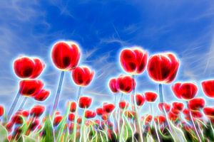 Lichteffekte in Feld mit roten Tulpen gegen den blauen Himmel im Frühjahr