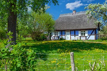 Klein vakwerkhuis met rieten dak op het eiland Usedom