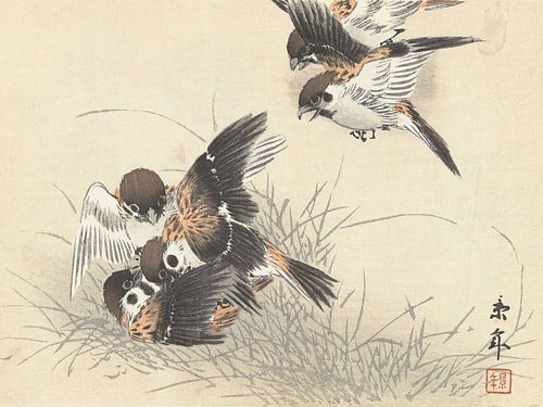 Imao Keinen - Vijf mussen in de strijd (1892-1911)