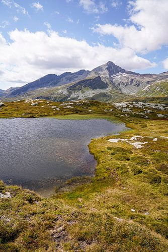 Zomers berglandschap in Zwitserland met groene alpenweiden en markante bergtoppen.