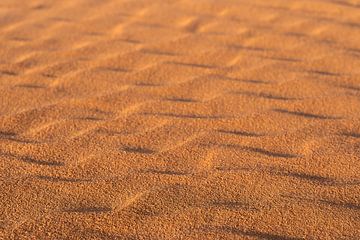Die Schönheit der Wüste von Jeroen Kleiberg