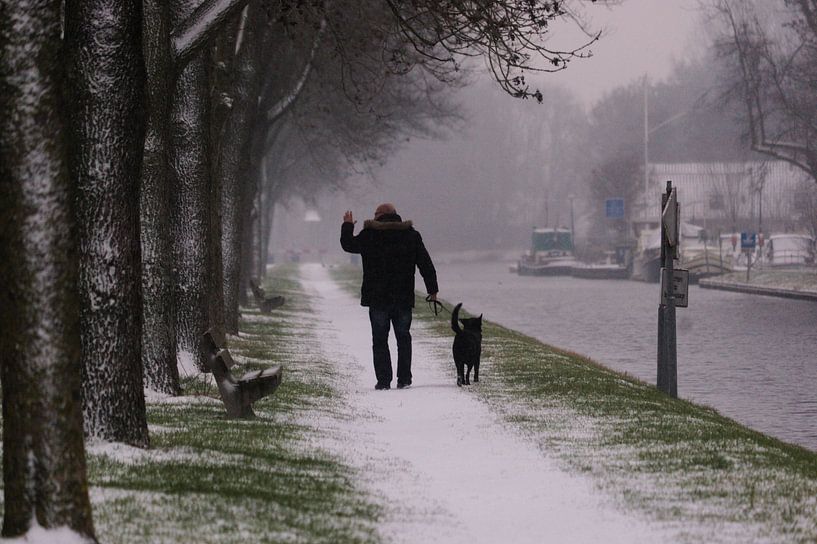Winterwandeling met de hond von Christiaan Klompstra