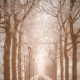 Nostalgic lane with snowy trees by Connie Posthuma