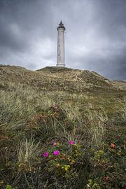 Lyngvig Lighthouse in Jutland, Denmark by PhotoCluster