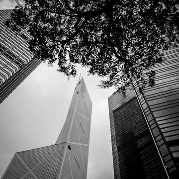 Skyline met boom, Hong Kong, China van Bertil van Beek