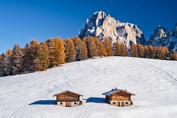 L'automne sur l'Alpe de Siusi sur Achim Thomae Photography