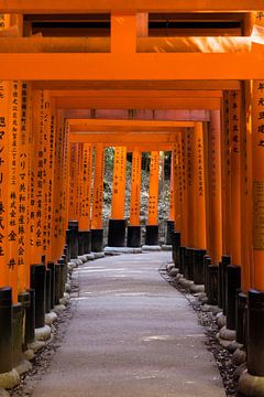 Fushimi Inari
