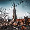 Gotische kerk Freiburg van Thomas Heitz