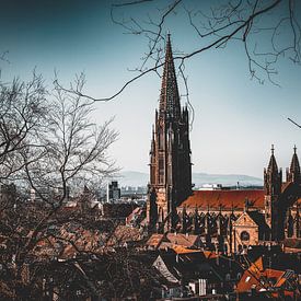 Gotische kerk Freiburg van Thomas Heitz