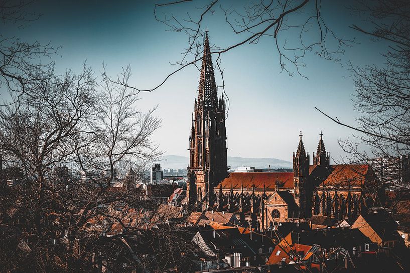 Gothic Church Freiburg by Thomas Heitz