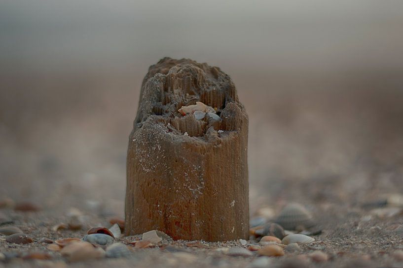 Paaltje in het zand par Albert van der Spaan