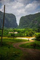 Einsamer Cowboy in Valle de Viñales, Kuba