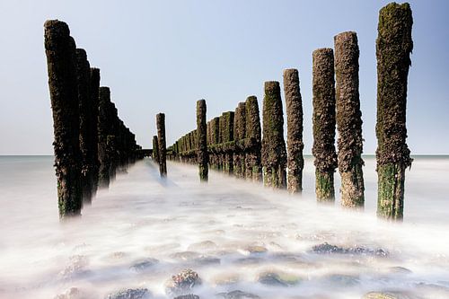 Zeegezicht vanaf het strand