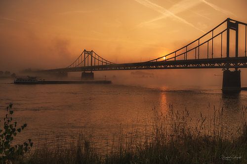 Foggy morning with sunlight