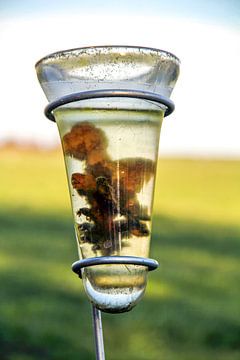 Rain gauge by Martina Dol