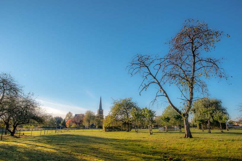 Kerk Maurik in het zonnetje by Moetwil en van Dijk - Fotografie