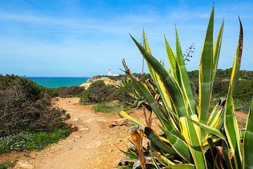 Fisher Trail Portugal