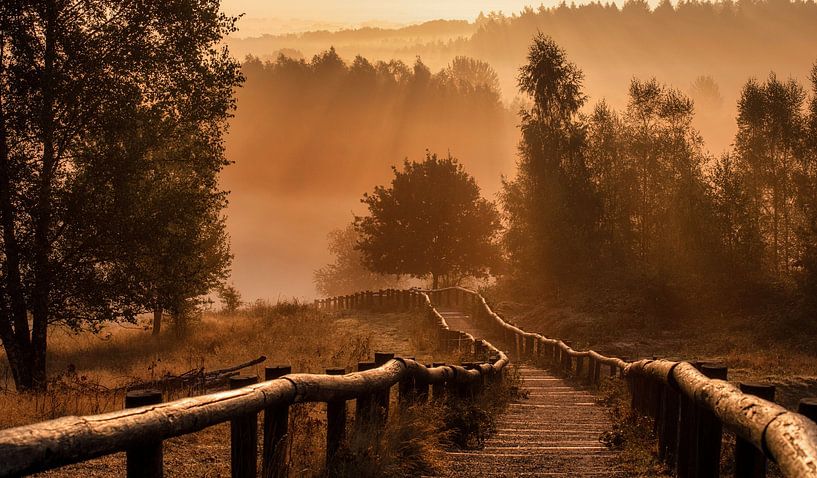 the path van Danielle de Graaf