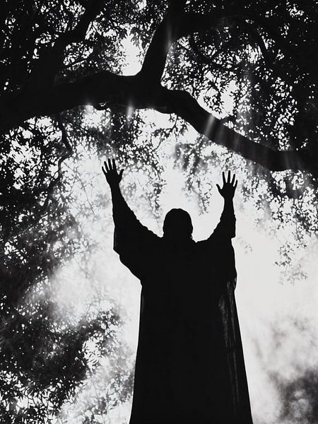 Figure in Worship Beneath Sunlit Tree by Transmutation Art