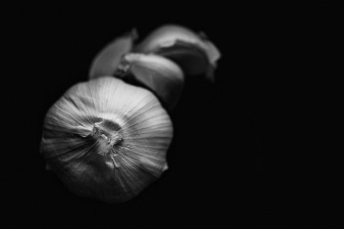 Still life garlic