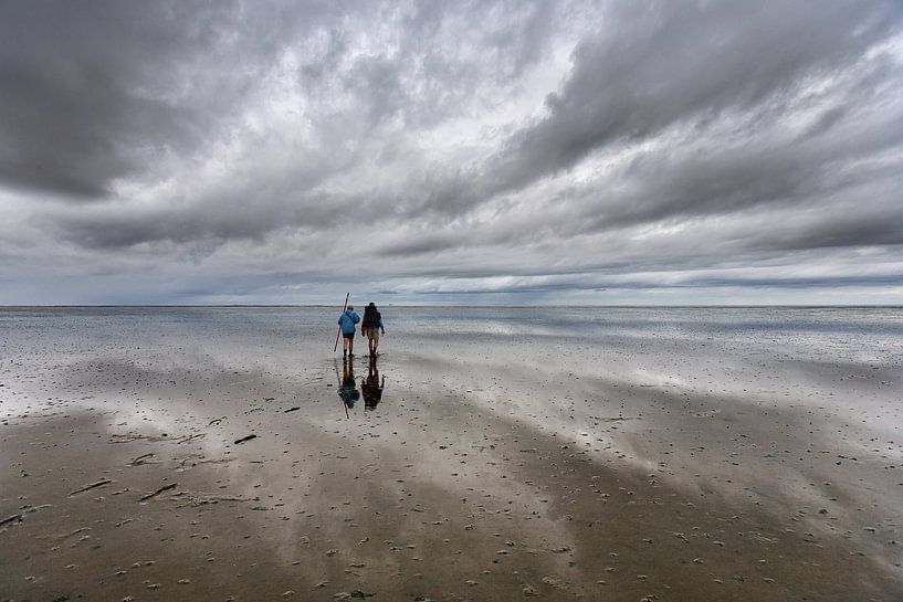 Wattenmeer bei Moddergat von Fonger de Vlas