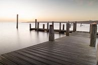 Mystique by the sea by Louise Poortvliet thumbnail