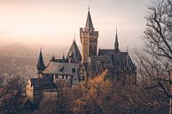 Mystiek kasteel Wernigerode in de mist van Oliver Henze thumbnail