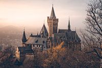Mystiek kasteel Wernigerode in de mist