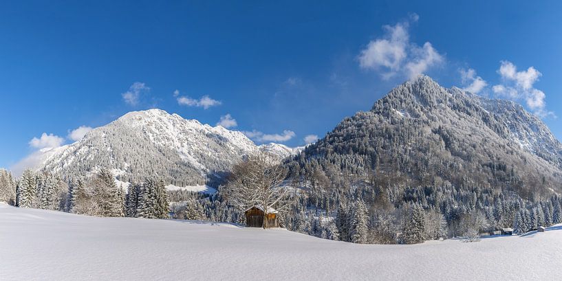  Winter in the Allgäu by Walter G. Allgöwer
