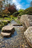 Quiet beauty: the watercourse in the Japanese garden at Planten un Blomen