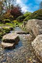 Quiet beauty: the watercourse in the Japanese garden at Planten un Blomen by Elbkind89 thumbnail