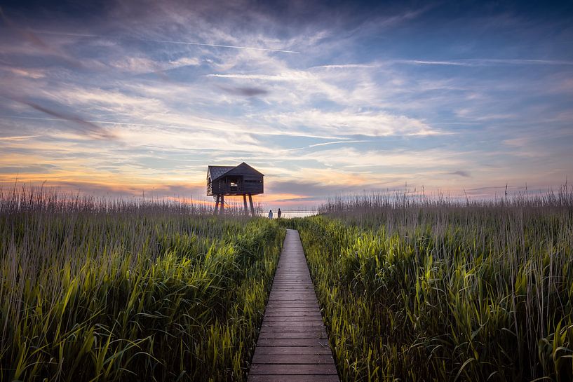 Kiekkaaste by Ronnie Schuringa