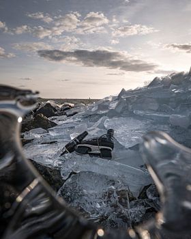 Skates lie on the ice along the frozen Wadden Sea coast