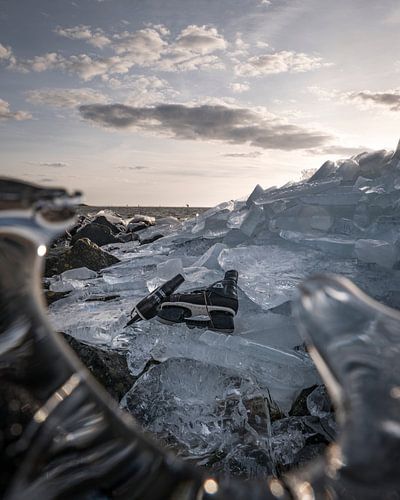 Skates lie on the ice along the frozen Wadden Sea coast