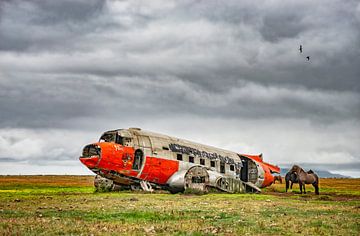 Vliegtuigwrak Douglas DC 3 met paarden in het noord oosten van IJsland