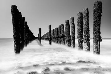 Zeegezicht vanaf het strand