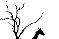 Giraffe silhouet van Marijn Heuts thumbnail