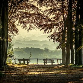 mist op de heuvelrug van claes touber