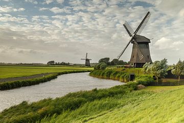 Typical Dutch Windmill in a polder  by Menno Schaefer