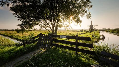 Windmolen in de polder