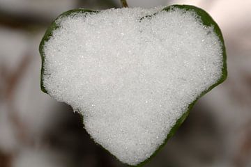 Coeur de neige 2 sur FotoGraaG Hanneke