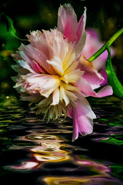 Eau de Pentecôte II par Christine Nöhmeier