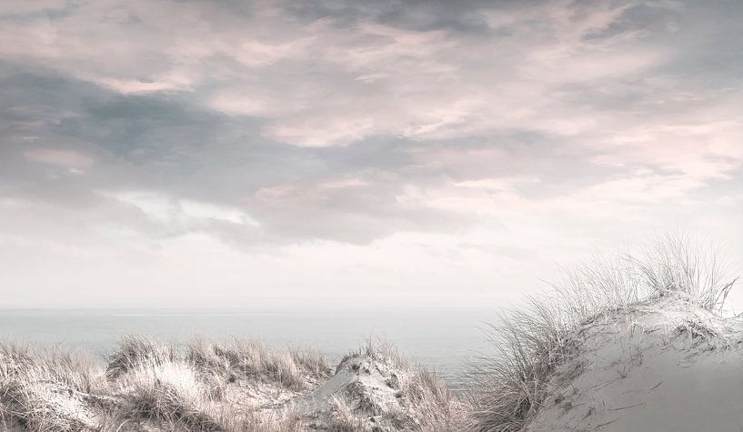 0190 Dunes de la mer du Nord II par Adrien Hendrickx