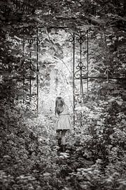 EXPLORING THE WAY by Gerhard Nel